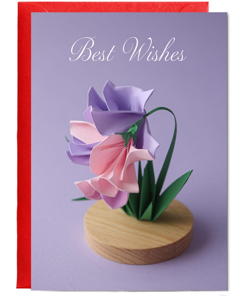 Best Wishes