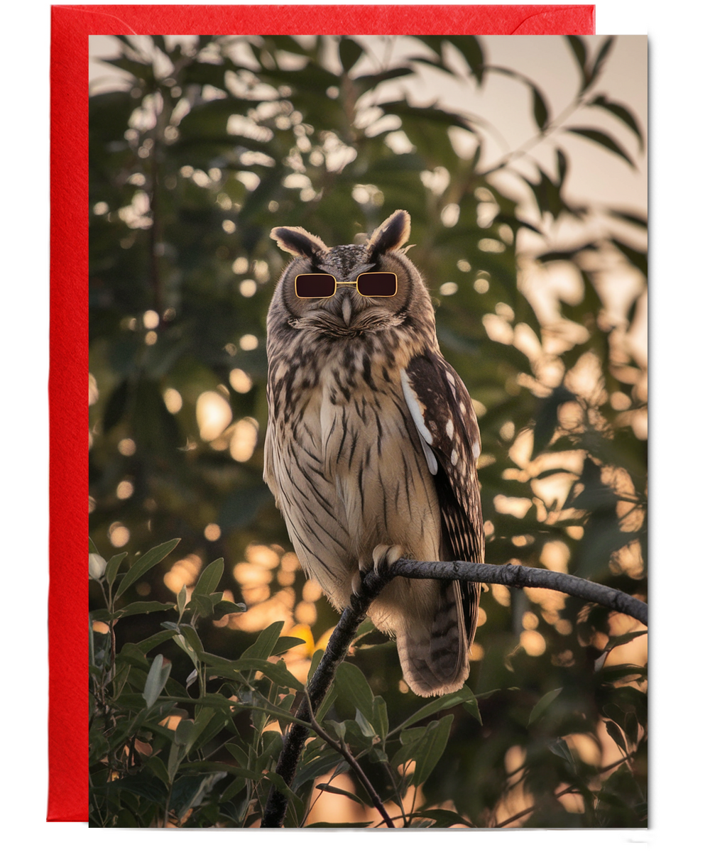 Owl in Tiny Sunglasses
