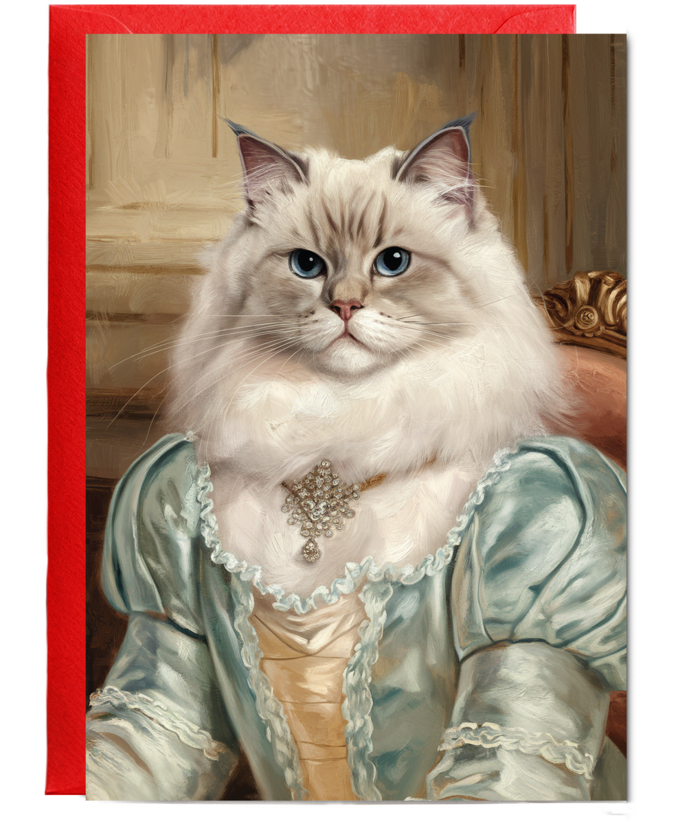 Royal Victorian ragdoll cat