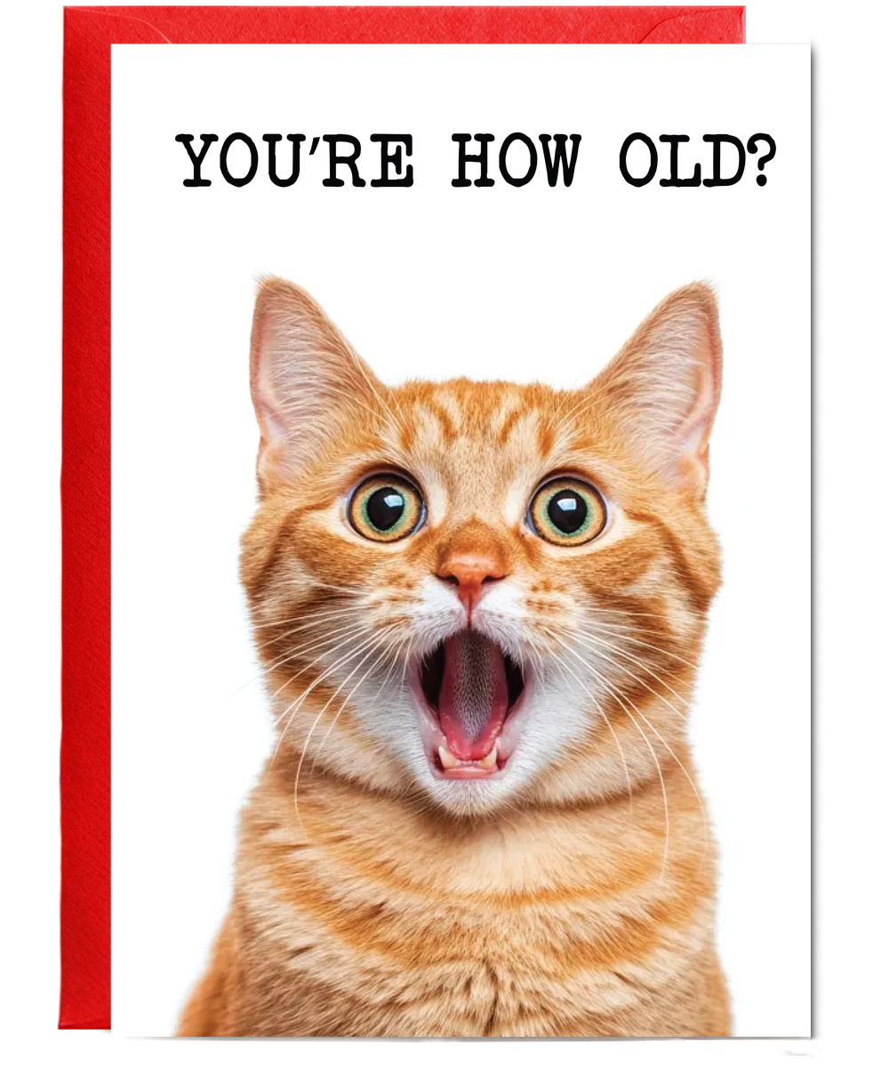You're how old kitty