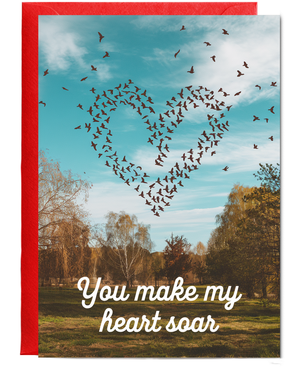 You make my heart soar Greeting Card