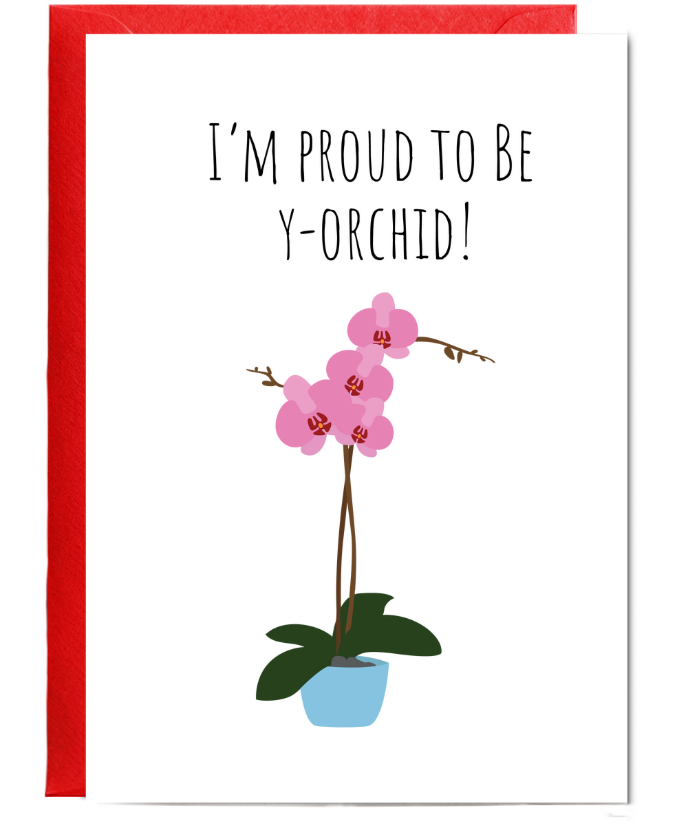 I'm proud to be y-orchid