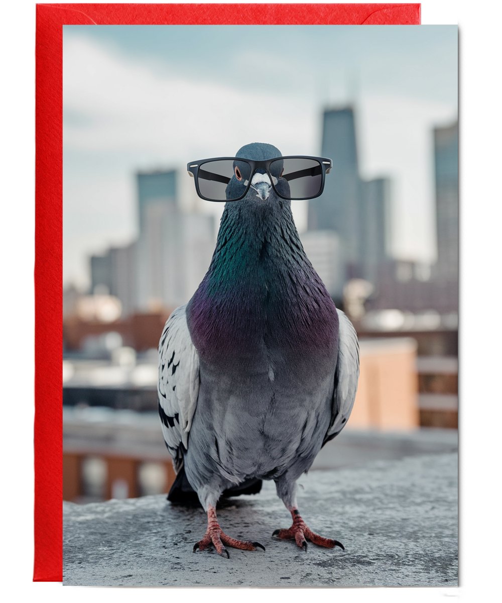 Pigeon in Urban Glasses
