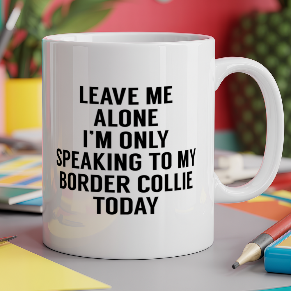 Leave me alone I'm only speaking to my border collie today - dog