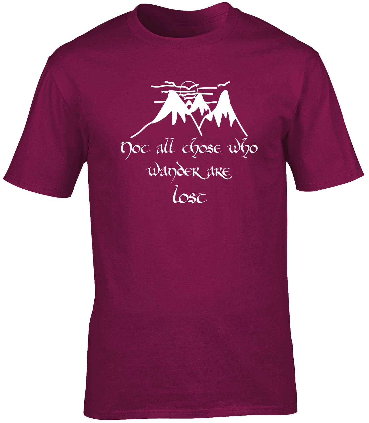 Not All Those Who Wander Are Lost Quote unisex t-shirt