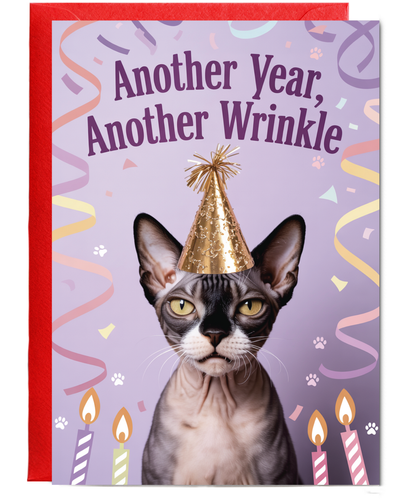another year, another wrinkle