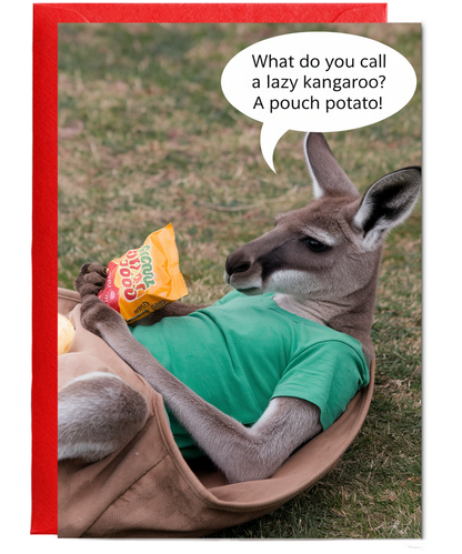 What do you call a lazy kangaroo? A pouch potato!