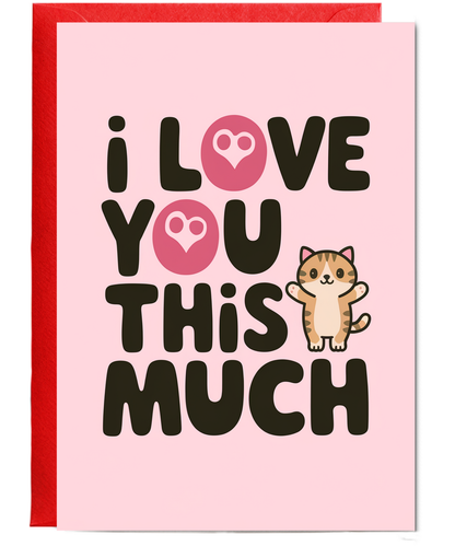 Valentines Day Card I Love you this much Cat