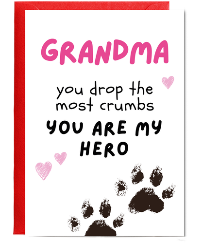 Funny Dog Grandma Birthday Card from the Dog You are My Hero