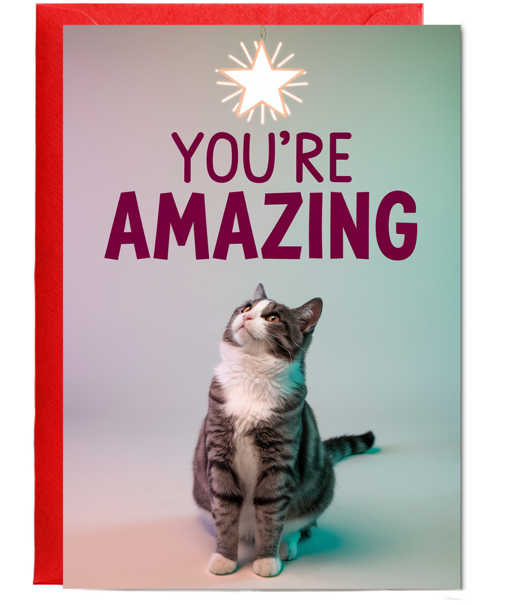 You're Amazing with Cat with a Star