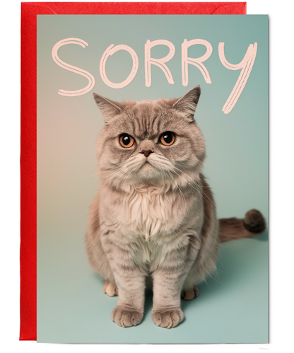 Sorry with Cat with Sad Eyes