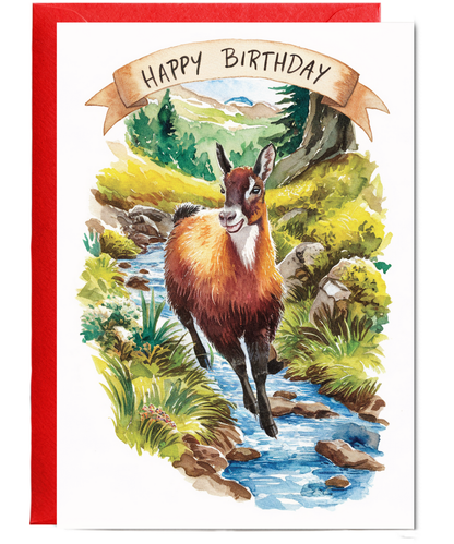 Happy Birthday cute chamois watercolour
