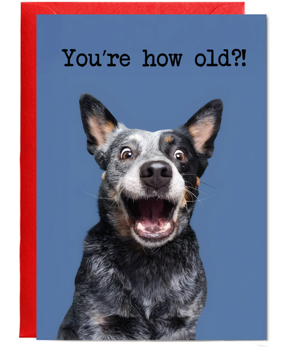 You're how old