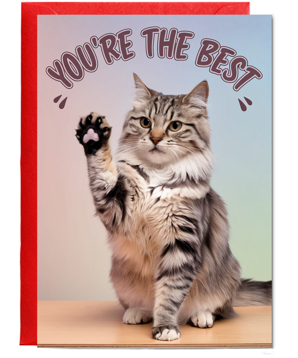 You're the Best with Cat Giving a High Five