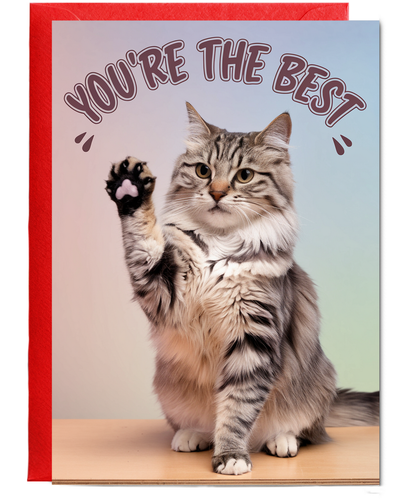 You're the Best with Cat Giving a High Five