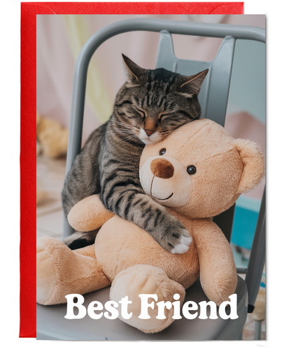 Best Friend with Cat Hugging a Teddy Bear