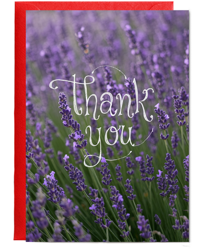 Thank You - Lavender Fields