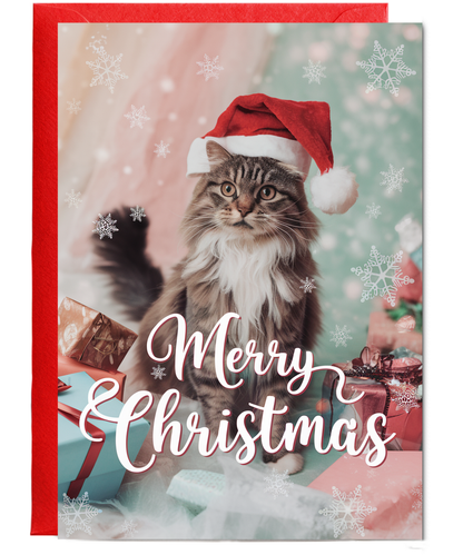 Merry Christmas with Cat with Santa Hat
