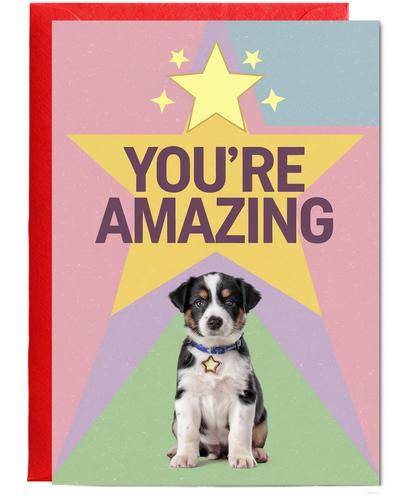 You're Amazing - Puppy with a Star