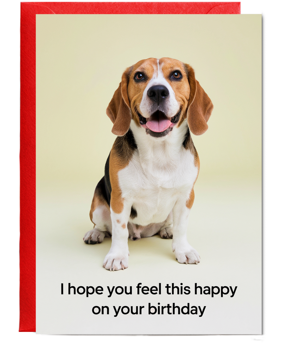 Cute birthday Card I hope you feel this happy on your birthday beagle