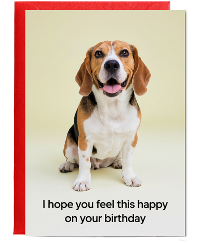 Cute birthday Card I hope you feel this happy on your birthday beagle