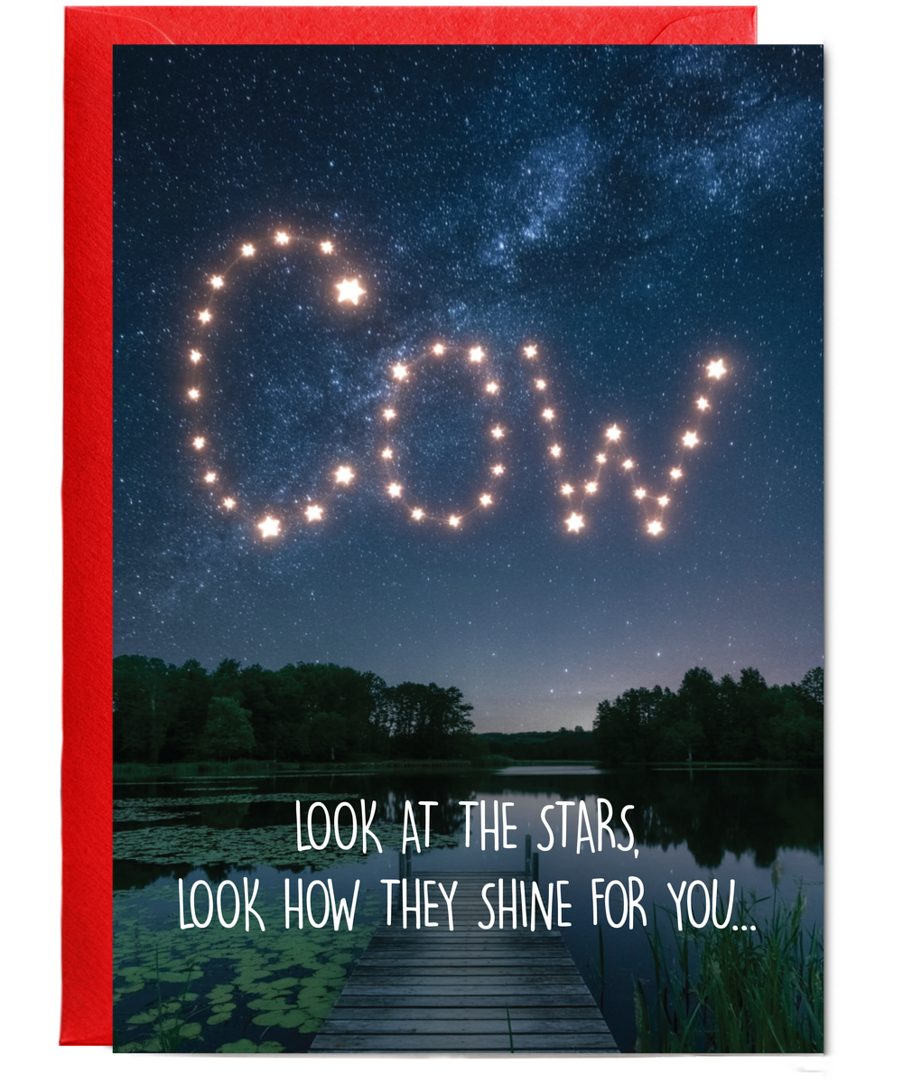 Look at the stars cow