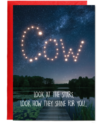 Look at the stars cow
