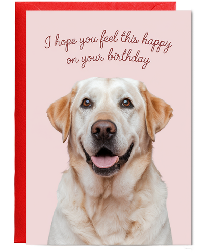 Happy Birthday Card Funny Dog feel happy Labrador