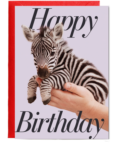 Birthday card Miniture Zebra cute funny