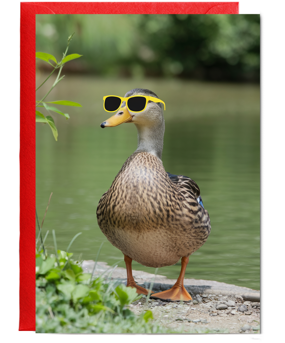 Duck in Bright Yellow Shades