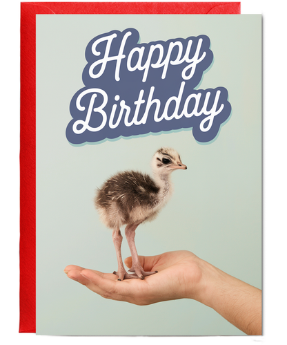 Birthday card Miniture ostrich cute funny