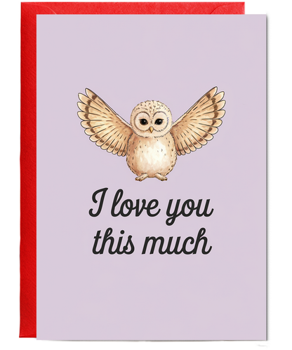 Valentines Day Card I Love you this much Owl