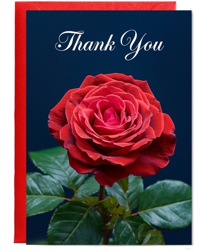 Thank You - Red Rose Elegance