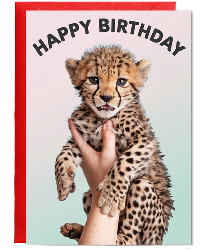 Birthday card Miniture cheetah cute funny