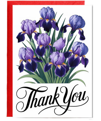Thank You - Iris in Full Bloom