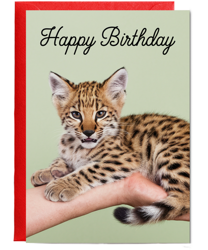 Birthday card Miniture wild cat cute funny