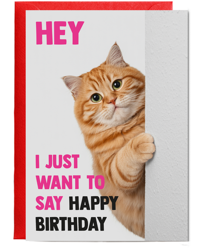 Funny Cat Birthday Card Hey I Just Want to Say Happy Birthday