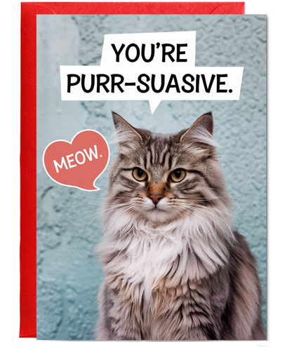 You’re purr-suasive Greeting Card