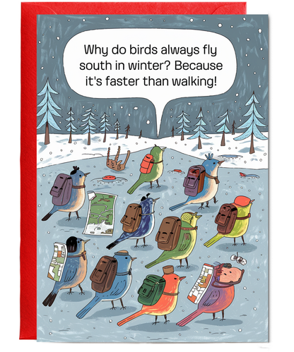 Why do birds always fly south in winter? Because it’s faster than walking!