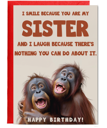 I laugh because you are my sister orangutans