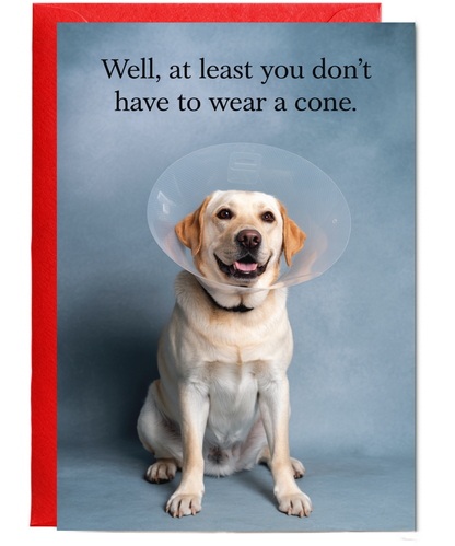 Dog Wearing Cone Feel Better Soon