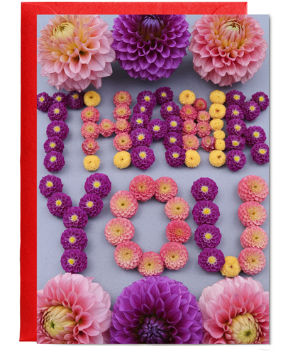 Thank You - Vibrant Dahlia Flowers