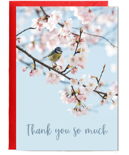 cherry blossom tree thank you very much