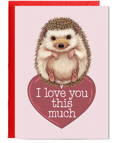 Valentines Day Card I Love you this much Hedgehog