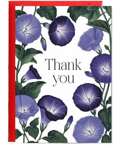 Thank You - Morning Glory Blooms
