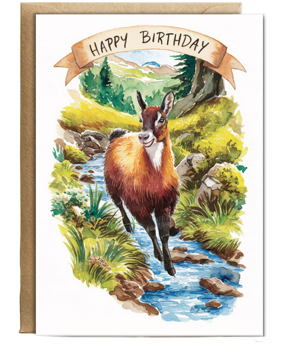 Happy Birthday cute chamois watercolour