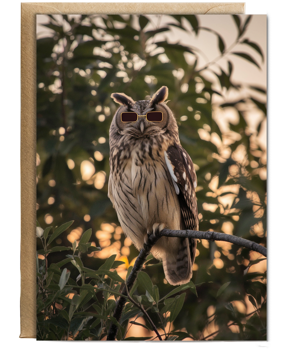 Owl in Tiny Sunglasses