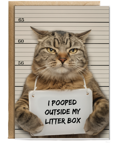 naughty tabby cat