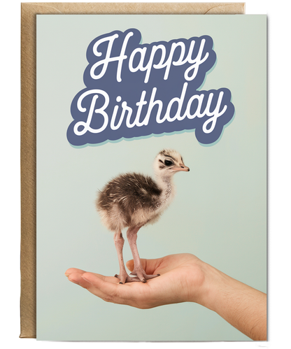 Birthday card Miniture ostrich cute funny