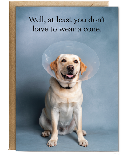 Dog Wearing Cone Feel Better Soon